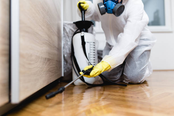 Best Pest Prevention Services  in Fort Dick, CA