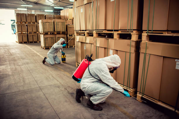 Best Termite Control Services  in Fort Dick, CA