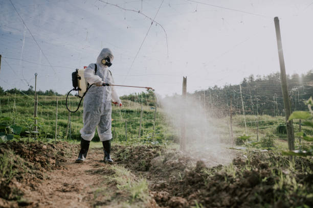 Best Best Pest Control Companies  in Fort Dick, CA