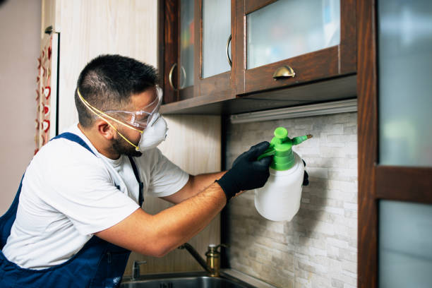 Best Flea Control Services  in Fort Dick, CA