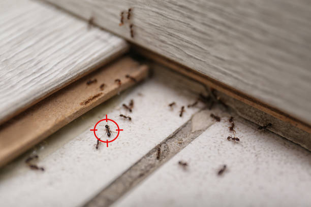Best Commercial Pest Control Services  in Fort Dick, CA