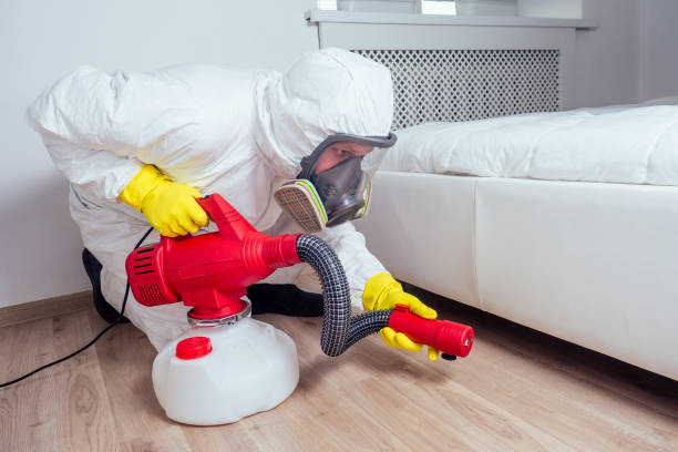 Best Wasp Removal Services  in Fort Dick, CA