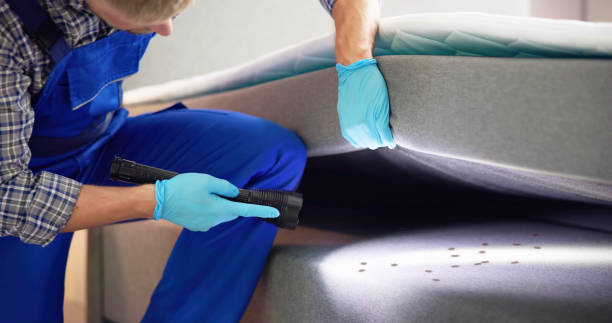 Flea Control Services in Fort Dick, CA